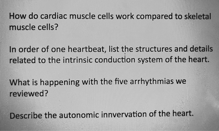 SOLVED: How do cardiac muscle cells work compared to skeletal muscle ...