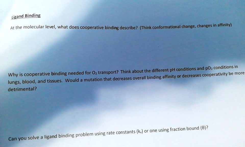 SOLVEDLigand Binding At the molecular level, what does cooperative binding describe? (Think