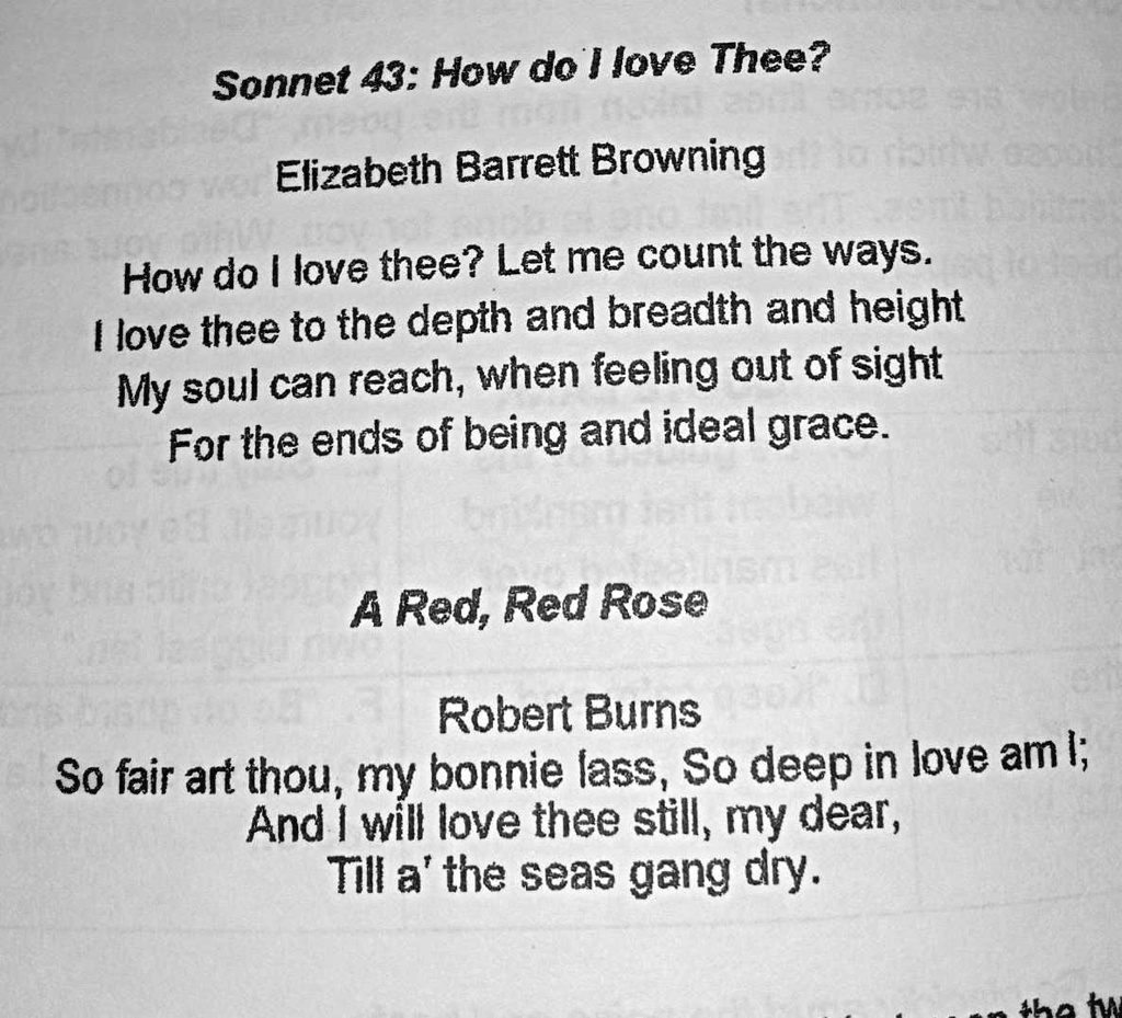 What Similarities Have You Observed Between The Two Excerpts Sonnet 43