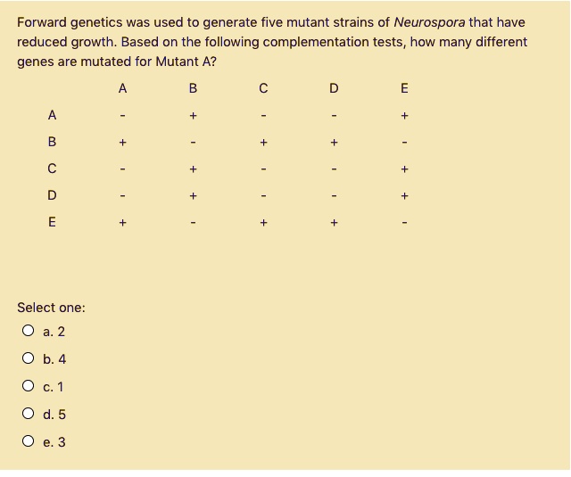 Forward genetics was used to generate five mutant strains of Neurospora that have reduced growth. Based on the following complementation tests, how many different genes are mutated for Mutant A?

   A B C D E
A  - + - - +
B  + - + + -
C  - + - - +
D  - + - - +
E  + - + + -

Select one:
a. 2
b. 4
c. 1
d. 5
e. 3