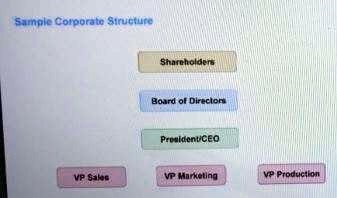 Sample Corporate Structure
Shareholders
Board of Directors
President/CEO
VP Sales
VP Marketing
VP Production