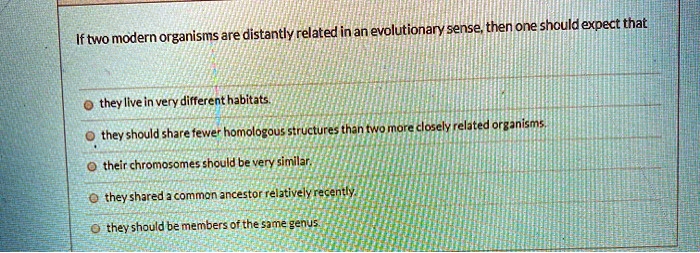 If two modern organisms are distantly related in an evolutionary sense ...
