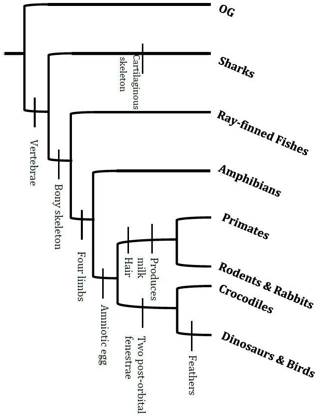 SOLVED: Text: Refer to the tree below. Refer specifically to the ...