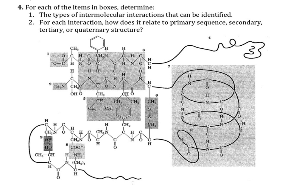 for each of the items in boxes determine 1 the types of intermolecular ...