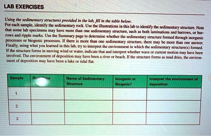 Solved Lab Exercises Using The Sedimentary Structures Provided In The