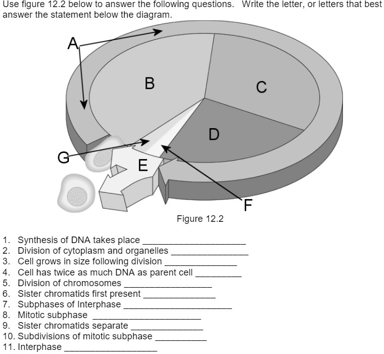 solved-biology-use-figure-12-2-below-to-answer-the-following-questions