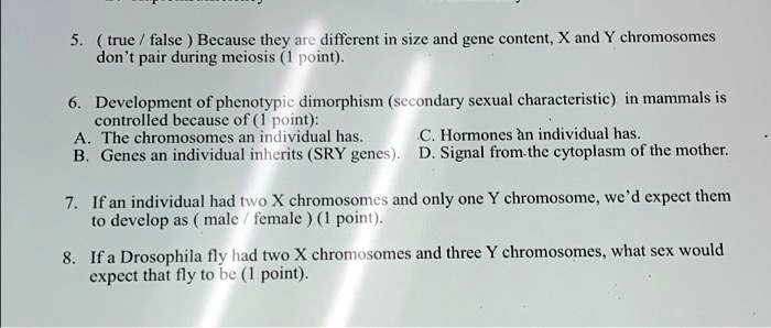 5. ( true / false ) Because they are different in size and gene content, X and Y chromosomes don’t pair during meiosis (1 point).
6. Development of phenotypic dimorphism (secondary sexual characteristic) in mammals is controlled because of (1 point):
A. The chromosomes an individual has.
B. Genes an individual inherits (SRY genes).
C. Hormones an individual has.
D. Signal from the cytoplasm of the mother.
7. If an individual had two X chromosomes and only one Y chromosome, we’d expect them to develop as ( male / female ) (1 point).
8. If a Drosophila fly had two X chromosomes and three Y chromosomes, what sex would expect that fly to be (1 point).