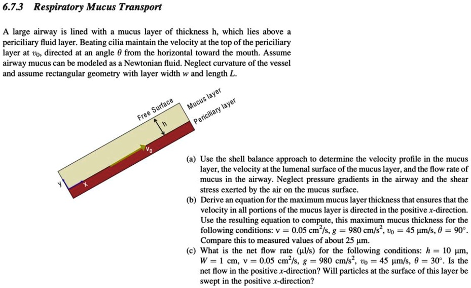 SOLVED Please Show All Steps Through A Biomedical Chemical solved-please-show-all-steps-through-a-biomedical-chemical