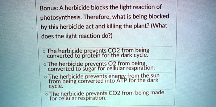 Bonus: A herbicide blocks the light reaction of photosynthesis. Therefore, what is being blocked by this herbicide act and killing the plant? (What does the light reaction do?)

• The herbicide prevents CO2 from being converted to protein for the dark cycle.
• The herbicide prevents O2 from being converted to sugar for cellular respiration.
• The herbicide prevents energy from the sun from being converted into ATP for the dark cycle.
• The herbicide prevents CO2 from being made for cellular respiration.