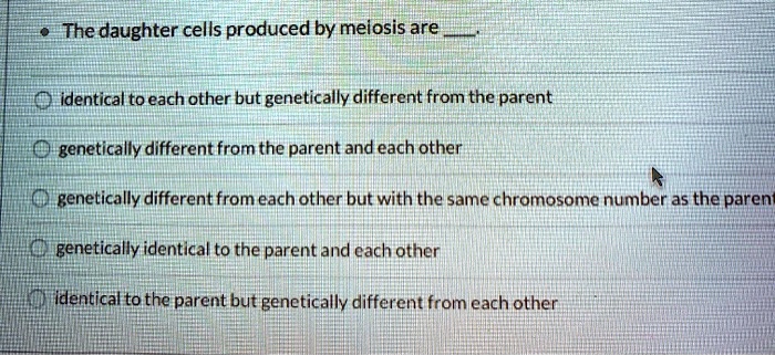 solved-the-daughter-cells-produced-by-meiosis-are-identical-to-each