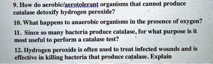 9. How do aerobic/aerotolerant organisms that cannot produce catalase detoxify hydrogen peroxide?
10. What happens to anaerobic organisms in the presence of oxygen?
11. Since so many bacteria produce catalase, for what purpose is it most useful to perform a catalase test?
12. Hydrogen peroxide is often used to treat infected wounds and is effective in killing bacteria that produce catalase. Explain