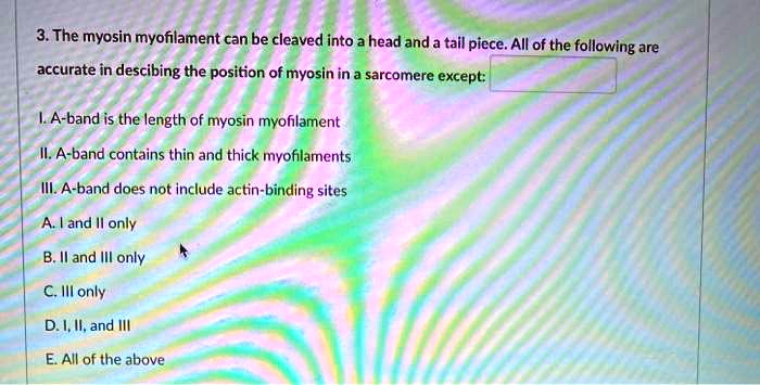 3. The myosin myofilament can be cleaved into a head and a tail piece. All of the following are accurate in describing the position of myosin in a sarcomere except:

I. A-band is the length of myosin myofilament
II. A-band contains thin and thick myofilaments
III. A-band does not include actin-binding sites
A. I and II only
B. II and III only
C. III only
D. I, II, and III
E. All of the above