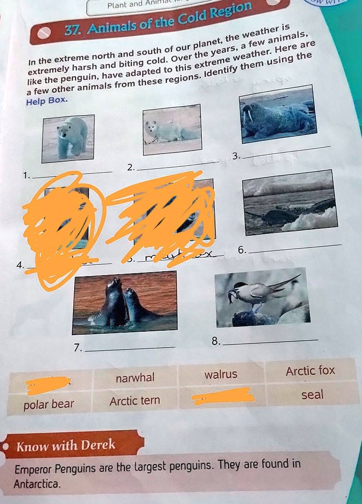 SOLVED: Please tell me the answer. Plant and Animal Region Cold 37