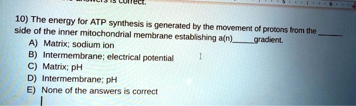 10) The energy for ATP synthesis is generated by the movement of protons from the  side of the inner mitochondrial membrane establishing a(n) gradient.
A) Matrix; sodium ion
B) Intermembrane; electrical potential
C) Matrix; pH
D) Intermembrane; pH
E) None of the answers is correct