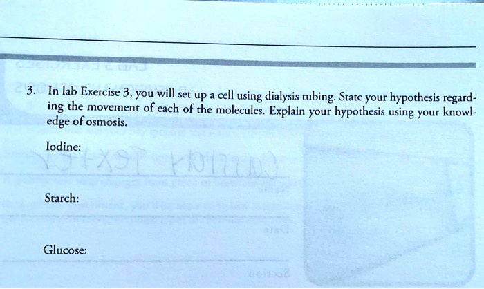 3. In lab Exercise 3, you will set up a cell using dialysis tubing. State your hypothesis regarding the movement of each of the molecules. Explain your hypothesis using your knowledge of osmosis.

Iodine:

Starch:

Glucose: