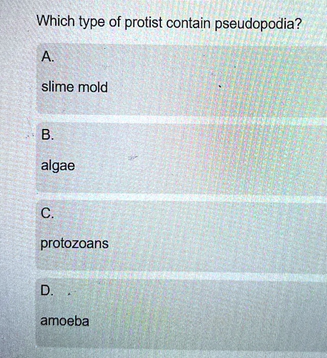Which type of protist contain pseudopodia?
A.
slime mold
B.
algae
C.
protozoans
D.
amoeba