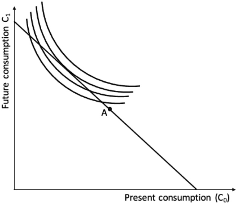 Future consumption C1 A Present consumption (C0)