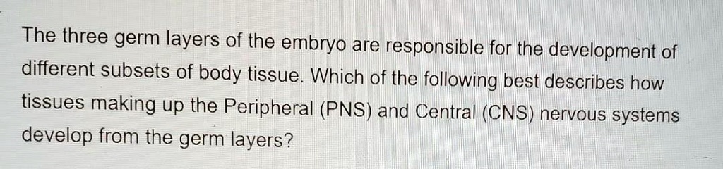 The three germ layers of the embryo are responsible for the development of different subsets of body tissue. Which of the following best describes how tissues making up the Peripheral (PNS) and Central (CNS) nervous systems develop from the germ layers?