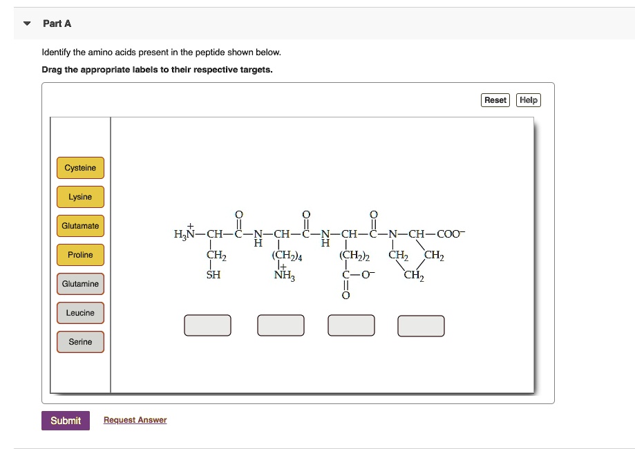 Part A Identify the amino acids present in the peptide shown...