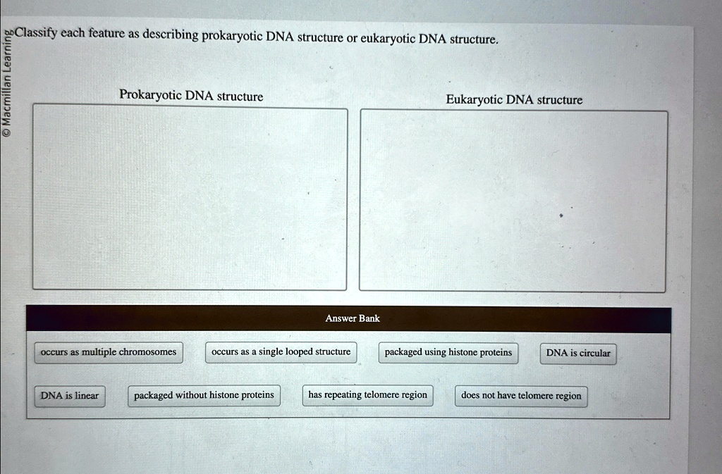 Macmillan Learning Classify each feature as describing prokaryotic DNA ...