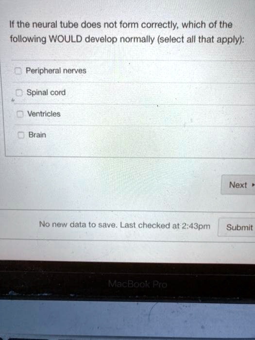 If the neural tube does not form correctly, which of the following WOULD develop normally (select all that apply):

Peripheral nerves
Spinal cord
Ventricles
Brain