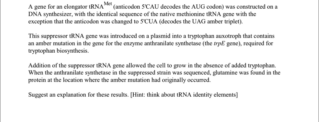 Met
A gene for an elongator tRNA (anticodon 5'CAU decodes the AUG codon) was constructed on a
DNA synthesizer, with the identical sequence of the native methionine tRNA gene with the
exception that the anticodon was changed to 5'CUA (decodes the UAG amber triplet).
This suppressor tRNA gene was introduced on a plasmid into a tryptophan auxotroph that contains
an amber mutation in the gene for the enzyme anthranilate synthetase (the trpE gene), required for
tryptophan biosynthesis.
Addition of the suppressor tRNA gene allowed the cell to grow in the absence of added tryptophan.
When the anthranilate synthetase in the suppressed strain was sequenced, glutamine was found in the
protein at the location where the amber mutation had originally occurred.
Suggest an explanation for these results. [Hint: think about tRNA identity elements]