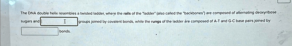 the dna double helix resembles a twisted ladder where the rails of the ...