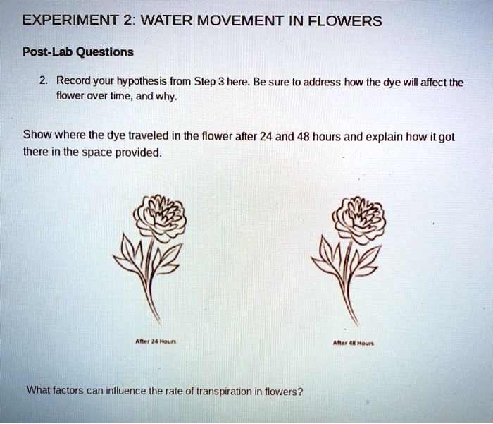 SOLVED EXPERIMENT 2 WATER MOVEMENT IN FLOWERS PostLab Questions