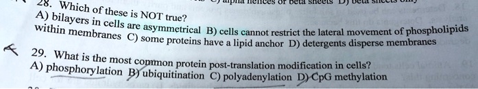 SOLVED: Which A) these bilayers is NOT true? within in cells are ...