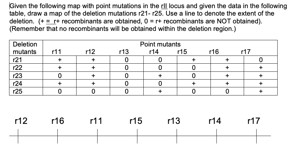 SOLVED: Given the following map with point mutations in the rIl locus ...