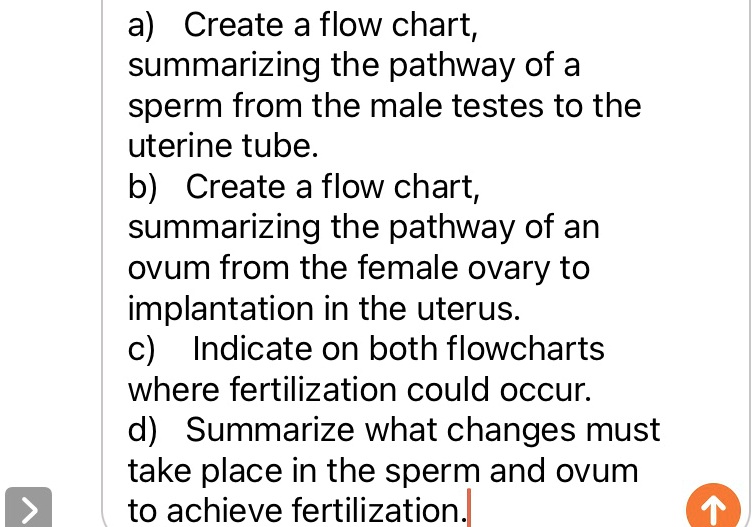'a) Create a flow chart; summarizing the pathway of a sperm from the