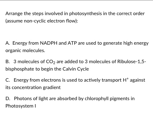 Arrange the steps involved in photosynthesis in the correct order (assume non-cyclic electron flow):

A. Energy from NADPH and ATP are used to generate high energy organic molecules.

B. 3 molecules of CO2 are added to 3 molecules of Ribulose-1,5-bisphosphate to begin the Calvin Cycle

C. Energy from electrons is used to actively transport H+ against its concentration gradient

D. Photons of light are absorbed by chlorophyll pigments in Photosystem I