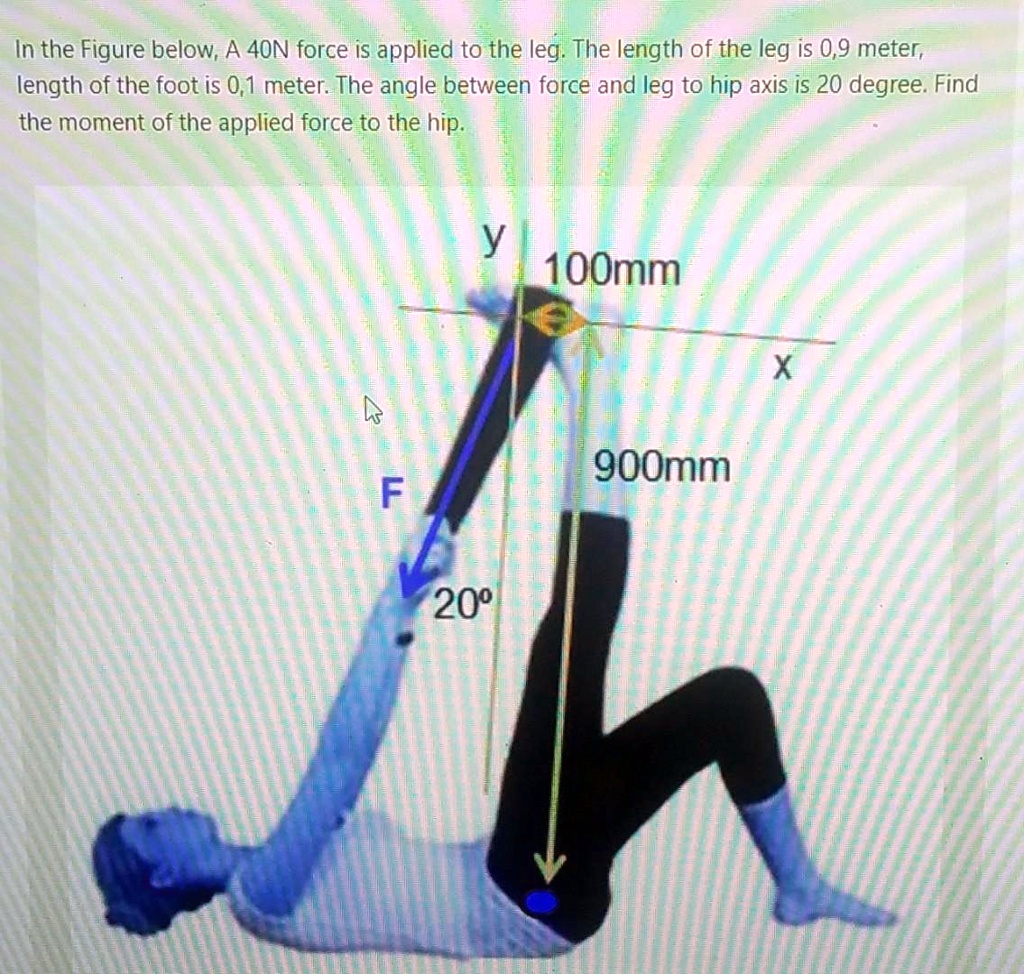 In the Figure below, A 40N force is applied to the leg. The length of ...