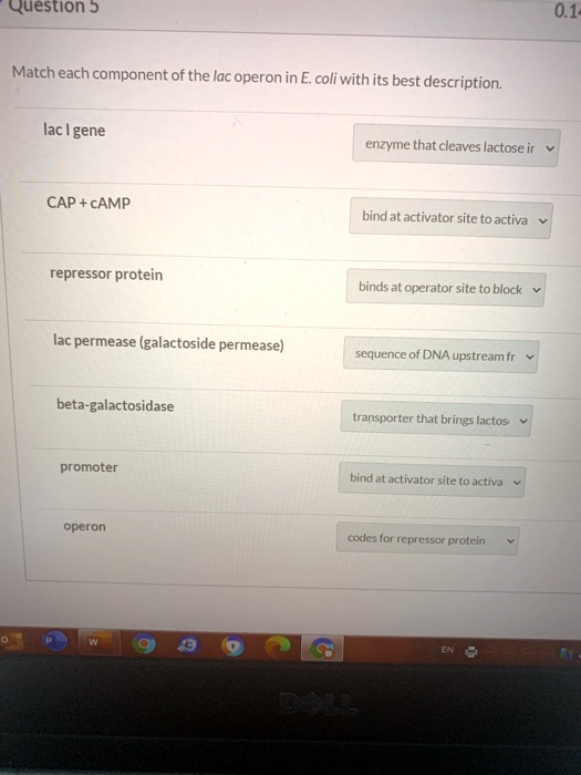question 5 match each component of the lac operon in e coli with its ...