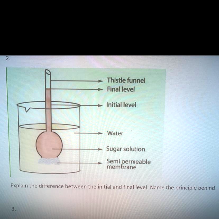 2. Thistle funnel Final level Initial level Water Sugar...