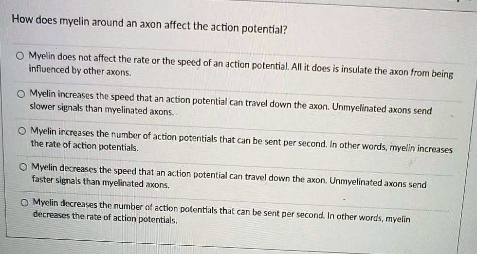 How does myelin around an axon affect the action potential?
Myelin does not affect the rate or the speed of an action potential. All it does is insulate the axon from being influenced by other axons.
Myelin increases the speed that an action potential can travel down the axon. Unmyelinated axons send slower signals than myelinated axons.
Myelin increases the number of action potentials that can be sent per second. In other words, myelin increases the rate of action potentials.
Myelin decreases the speed that an action potential can travel down the axon. Unmyelinated axons send faster signals than myelinated axons.
Myelin decreases the number of action potentials that can be sent per second. In other words, myelin decreases the rate of action potentials.