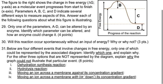 SOLVED:The figure to the right shows the change in free energy (AG; y ...