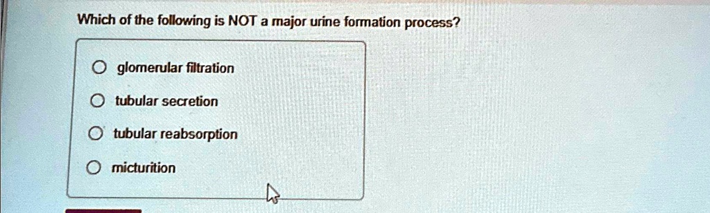 Which Of The Following Is Not A Step In Micturition SOLVED: Which of the following is NOT a major urine formation process