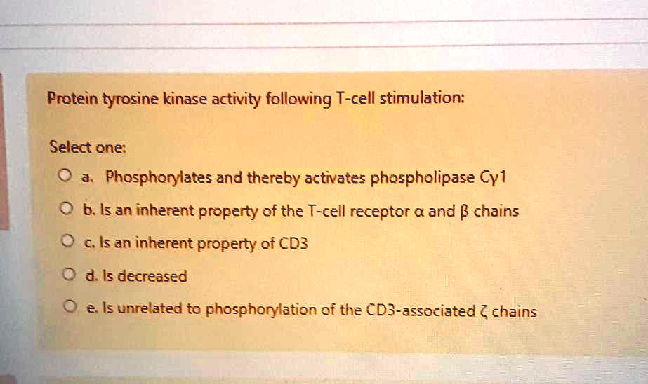Protein tyrosine kinase activity following T-cell stimulation:

Select one:
a. Phosphorylates and thereby activates phospholipase C?1
b. Is an inherent property of the T-cell receptor ? and ? chains
c. Is an inherent property of CD3
d. Is decreased
e. Is unrelated to phosphorylation of the CD3-associated ? chains
