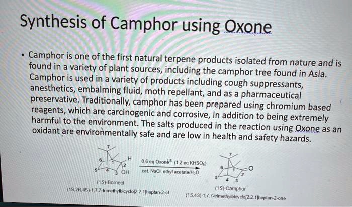 synthesis of camphor from borneol