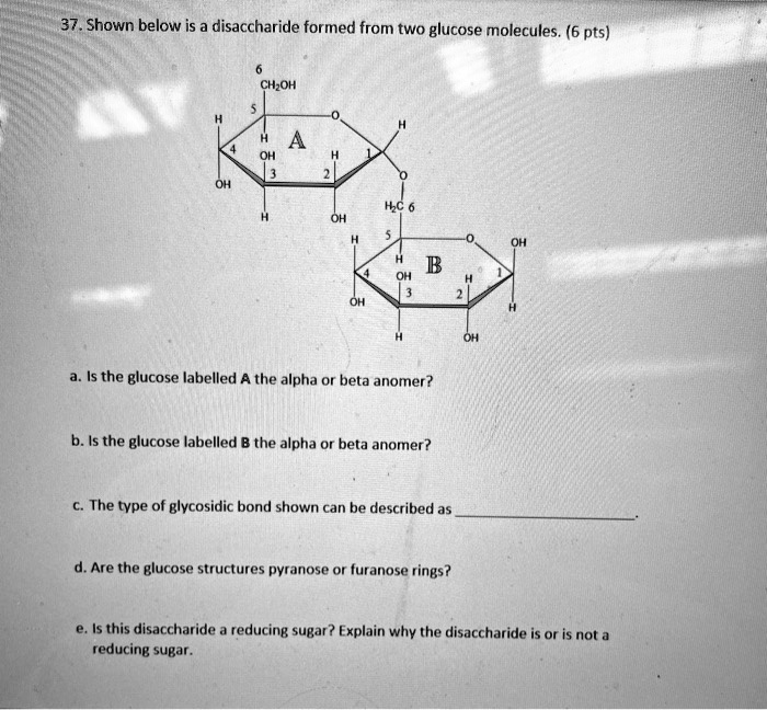 37. Shown below is disaccharide formed from two gluco… - SolvedLib