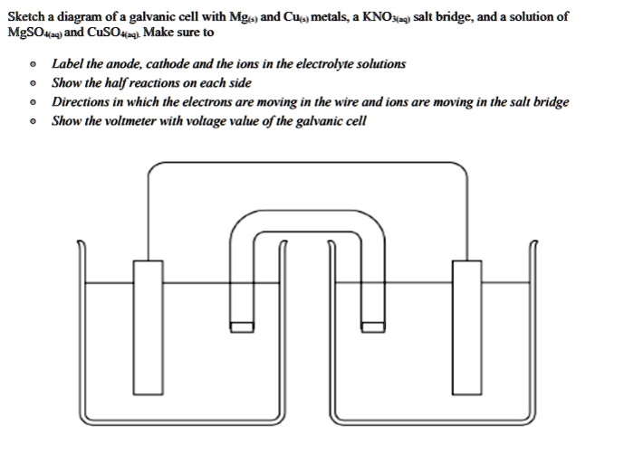 SOLVED Sketch diagram of a galvanic cell with Mgt) and Cu. metals KNO 4 salt bridge, and