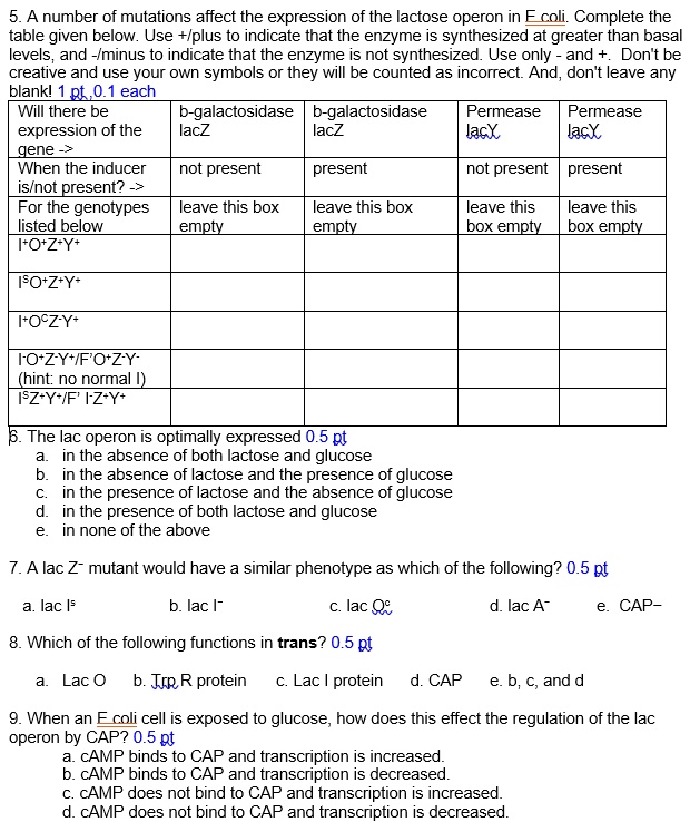 5. A number of mutations affect the expression of the lactose operon in E coli. Complete the table given below. Use +/plus to indicate that the enzyme is synthesized at greater than basal levels, and -/minus to indicate that the enzyme is not synthesized. Use only - and +. Don't be creative and use your own symbols or they will be counted as incorrect. And, don't leave any blank!

Will there be expression of the gene -> | b-galactosidase lacZ | b-galactosidase lacZ | Permease lacY | Permease lacY
— | — | — | — | —
When the inducer is/not present? -> | not present | present | not present | present
For the genotypes listed below | leave this box empty | leave this box empty | leave this box empty | leave this box empty
I+O+Z+Y+ | | | | 
IsO+Z+Y+ | | | | 
I+OcZ-Y+ | | | | 
I-O+Z-Y+/F'O+Z-Y- (hint: no normal I) | | | | 
IsZ+Y+/F' I-Z+Y+ | | | | 

6. The lac operon is optimally expressed
a. in the absence of both lactose and glucose
b. in the absence of lactose and the presence of glucose
c. in the presence of lactose and the absence of glucose
d. in the presence of both lactose and glucose
e. in none of the above

7. A lac Z- mutant would have a similar phenotype as which of the following?
a. lac Is b. lac I- c. lac Oc d. lac A- e. CAP-

8. Which of the following functions in trans?
a. Lac O b. Trp R protein c. Lac I protein d. CAP e. b, c, and d

9. When an E coli cell is exposed to glucose, how does this effect the regulation of the lac operon by CAP?
a. cAMP binds to CAP and transcription is increased.
b. cAMP binds to CAP and transcription is decreased.
c. cAMP does not bind to CAP and transcription is increased.
d. cAMP does not bind to CAP and transcription is decreased.