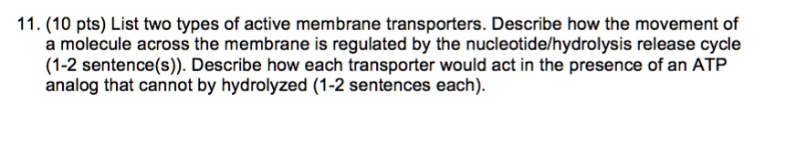 SOLVED: 11. (10 pts) List two types of active membrane transporters ...