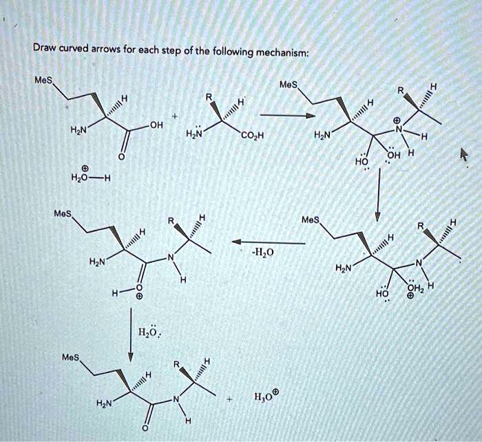 SOLVED Draw curved arrows for each step ofthe following mechanism MeS