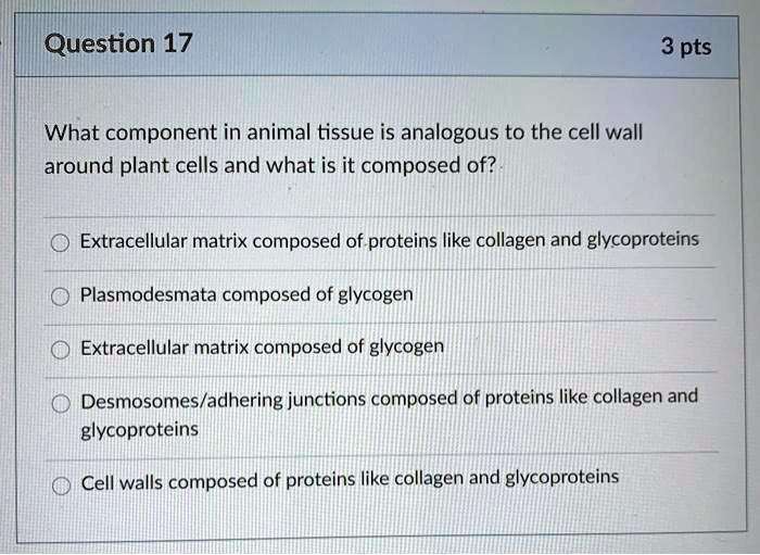 SOLVED Question 17 3 pts What component in animal tissue is analogous