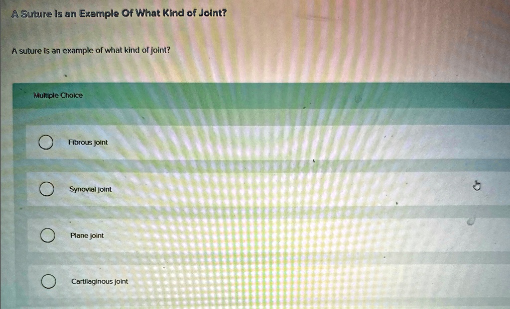 a suture is an example of what kind of joint a suture is an example of