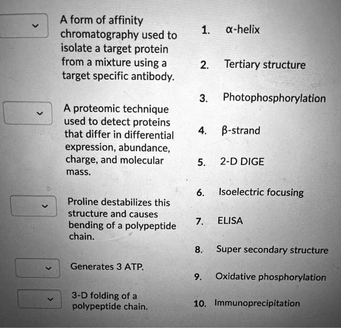 SOLVED: A form of affinity chromatography used to isolate a target ...
