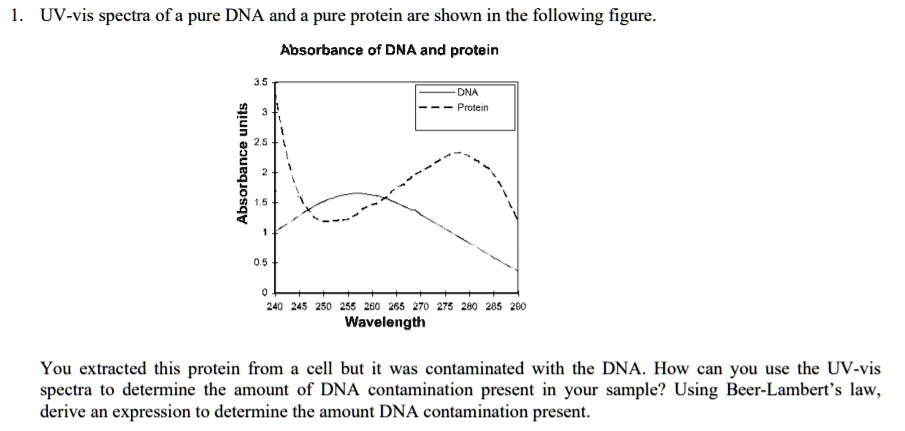 Solved Uv Vis Spectra Of A Pure Dna And A Pure Protein Are Shown In The Following Figure