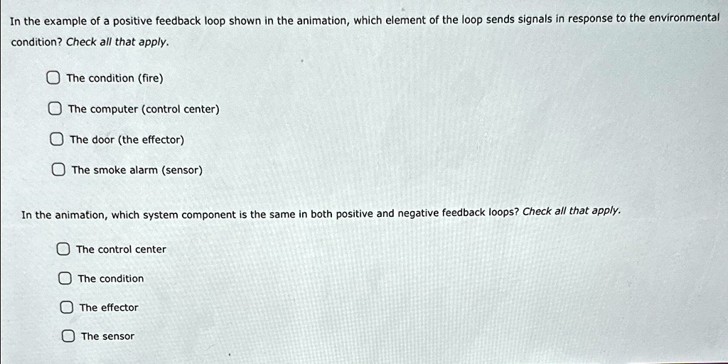 In the example of a positive feedback loop shown in the animation ...